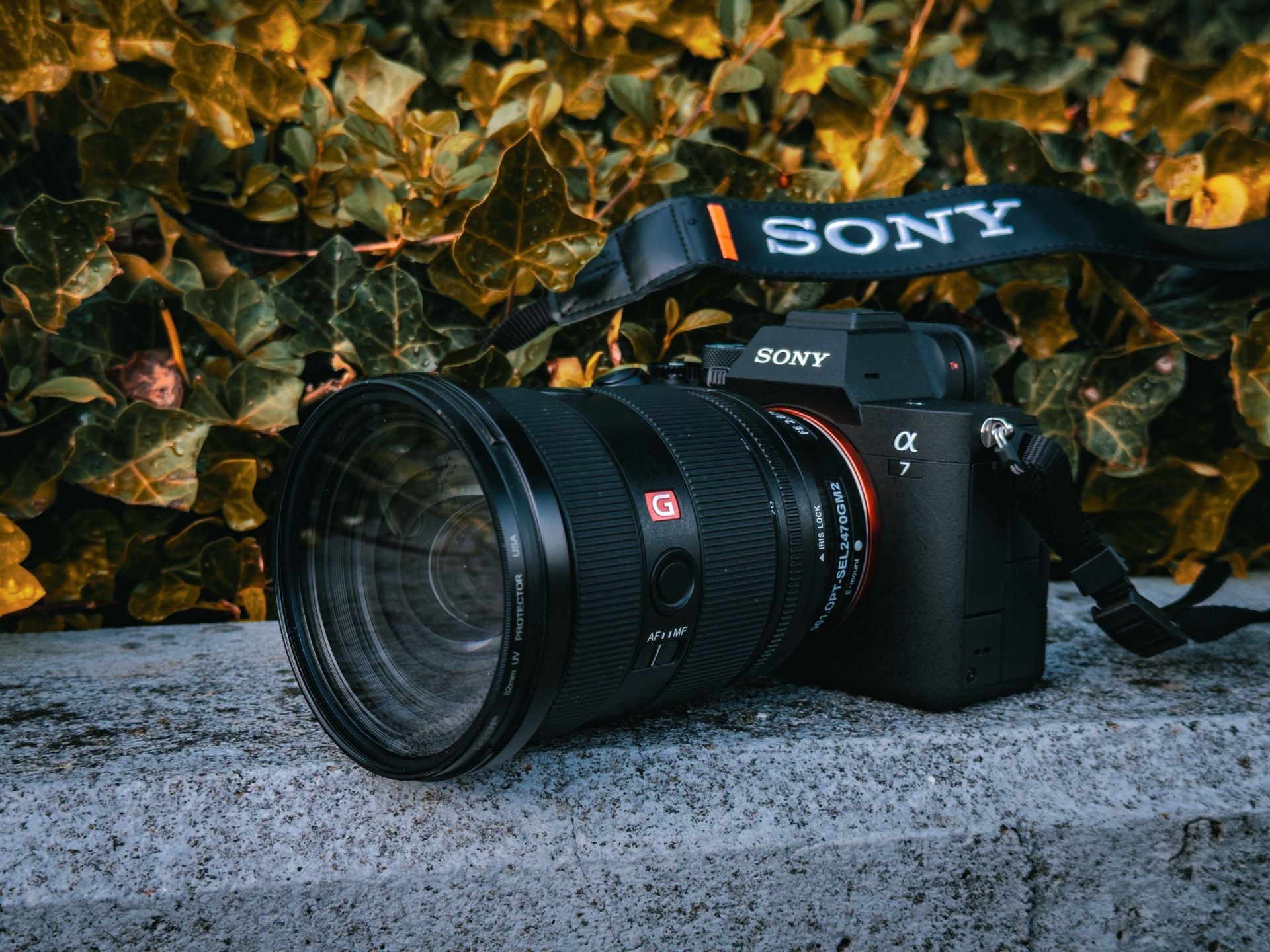 Sony DSLR and Mirrorless Accessories
