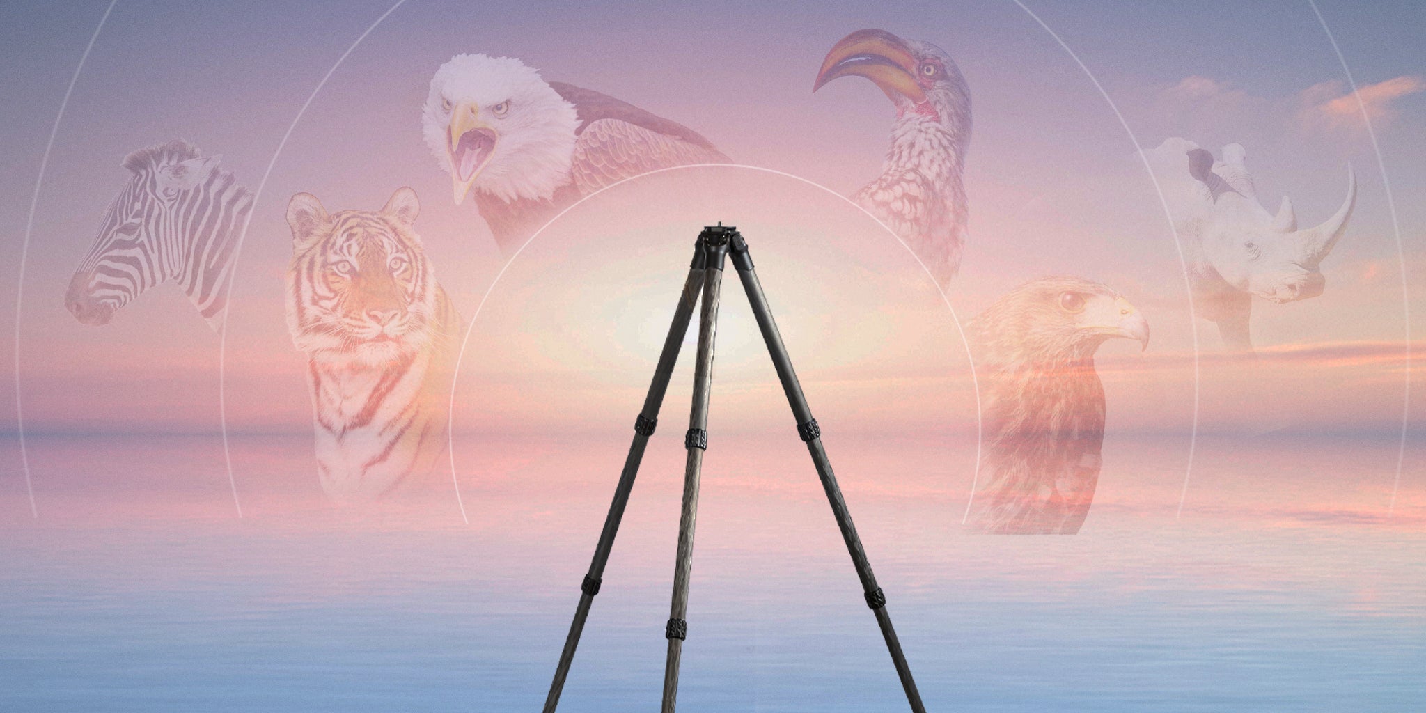 TRS344_Carbon_Fiber_Tripod_Banner