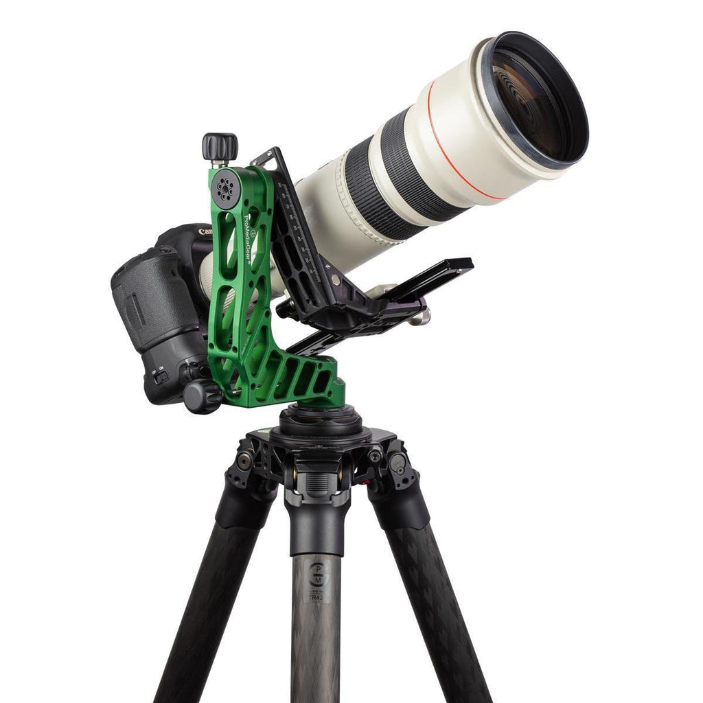 with 500mm F4 canon lens