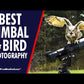GKJr Katana Pro gimbal head overview